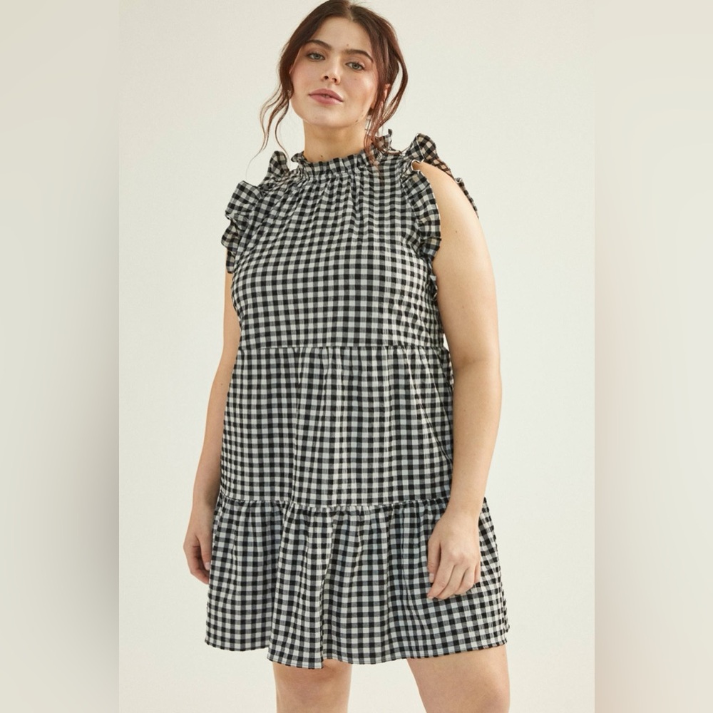 Maeve Lida Gingham Ruffled Mini Dress Size XL